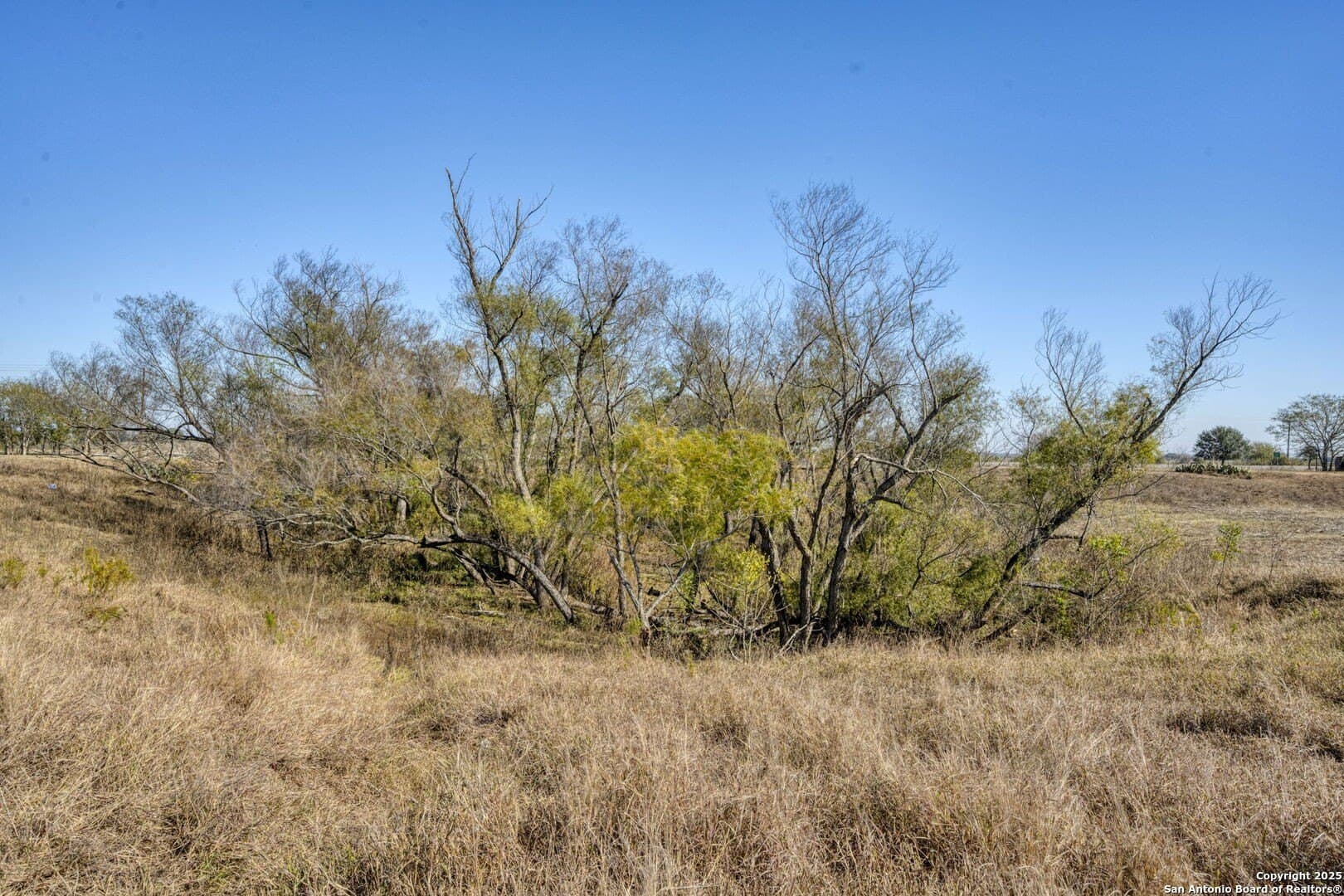 45.43 acres in Fayette County - photo 28