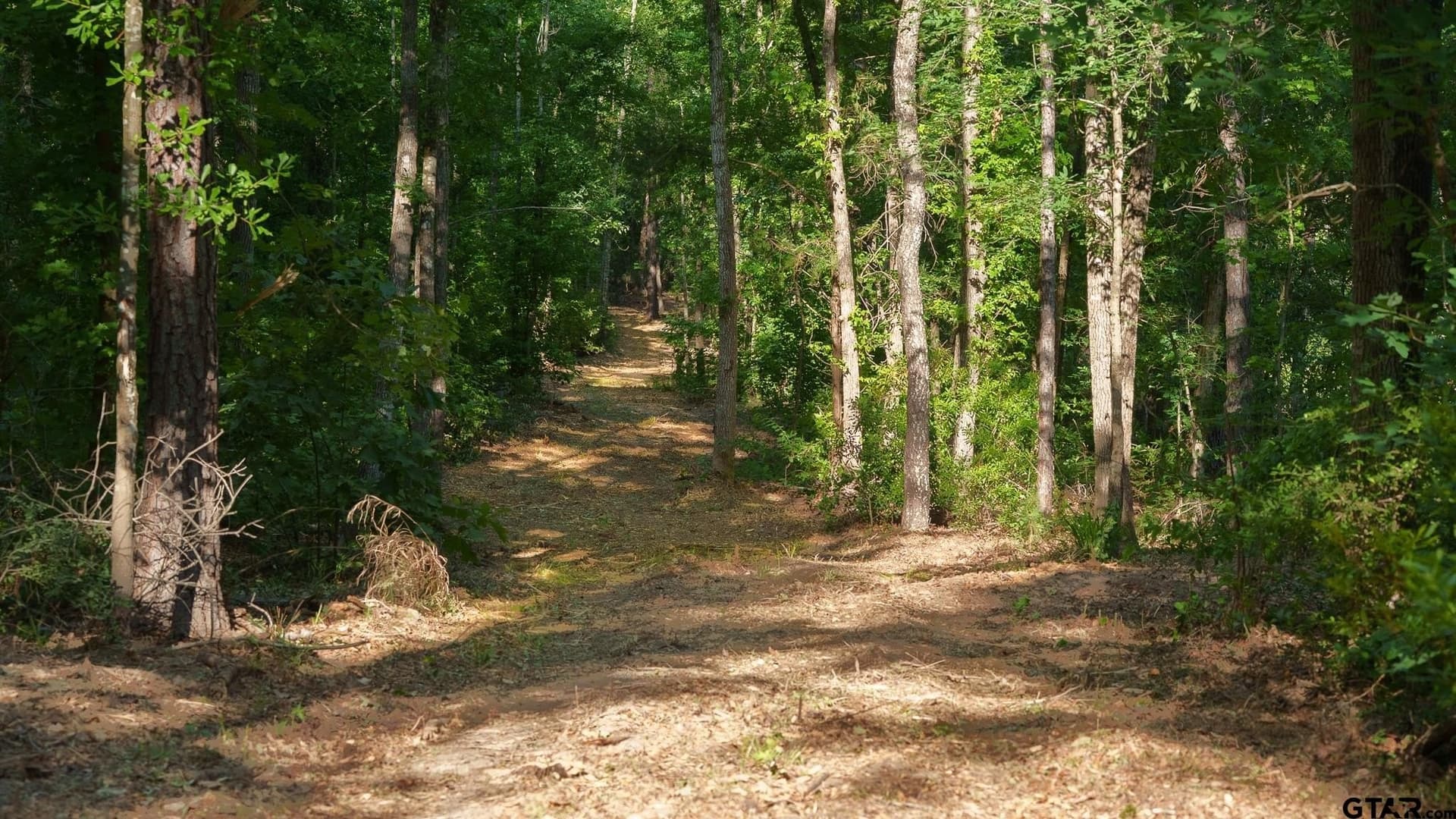 27.56 acres in Smith County - photo 11