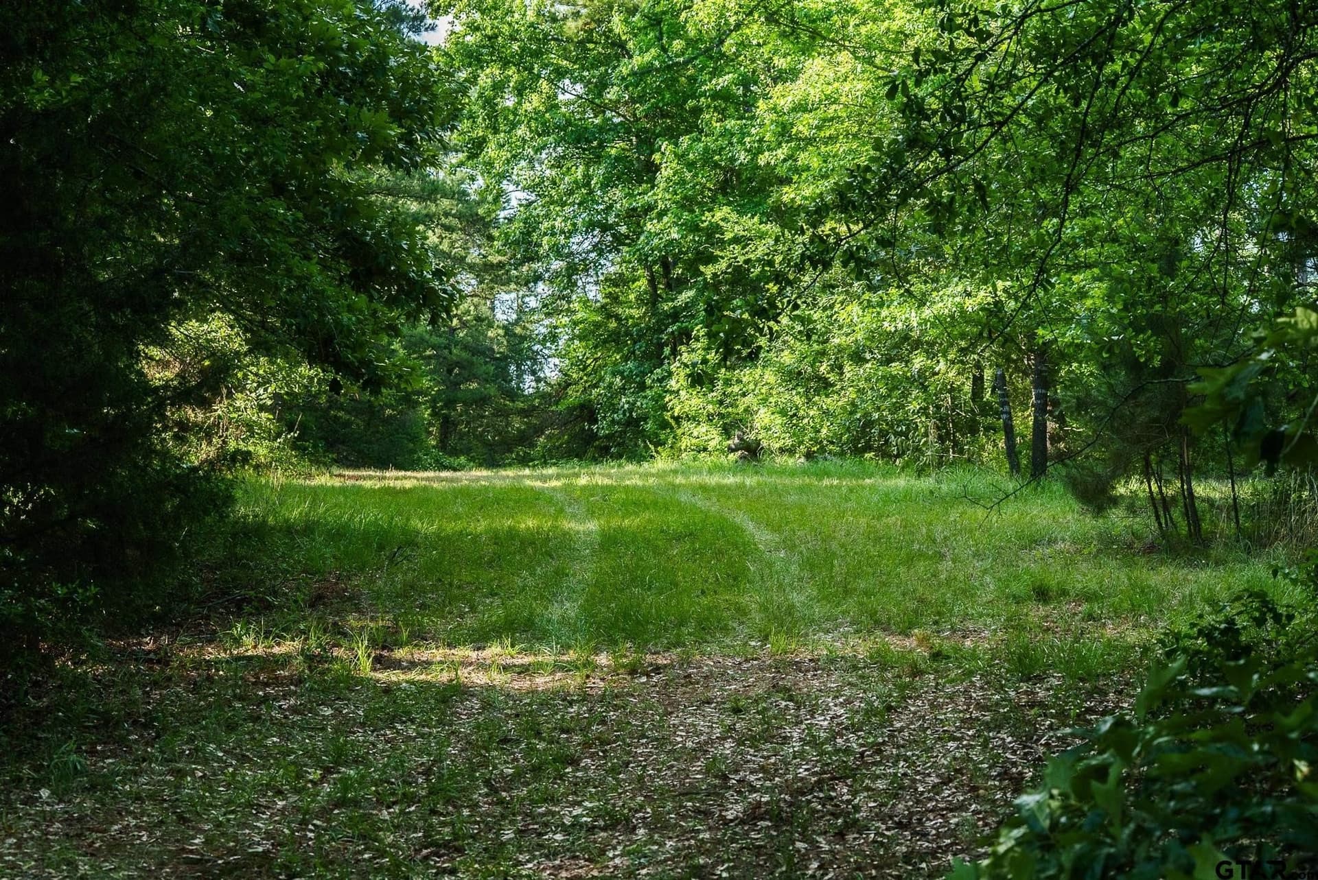27.56 acres in Smith County - photo 10