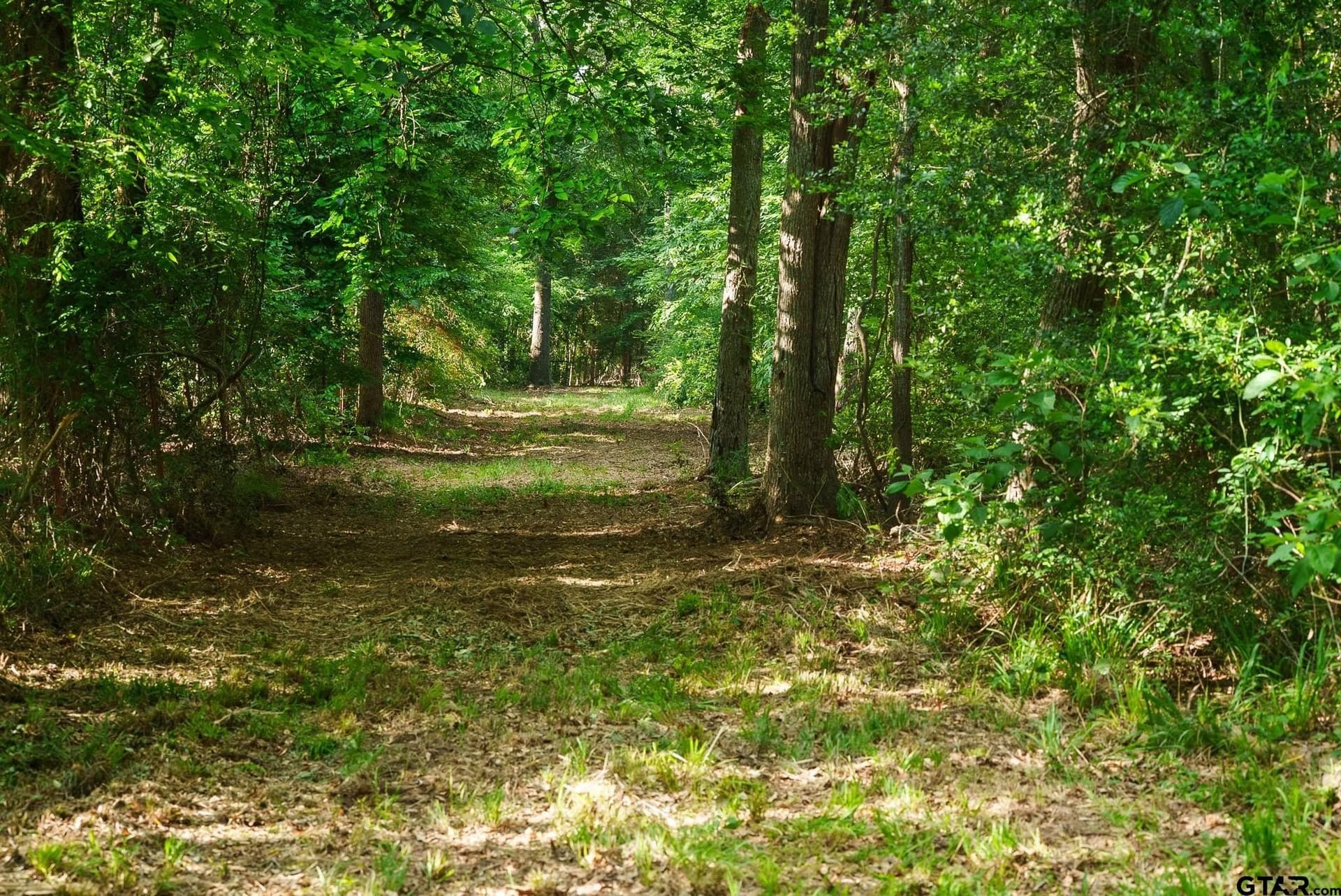 27.56 acres in Smith County - photo 8