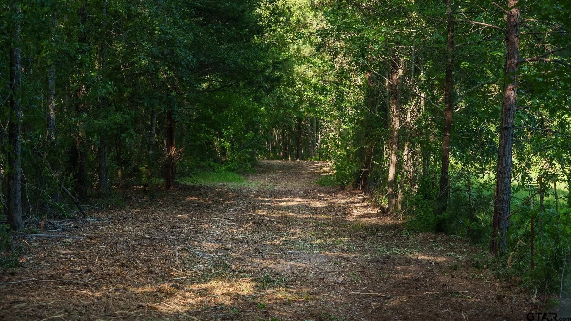 27.56 acres in Smith County - photo 9