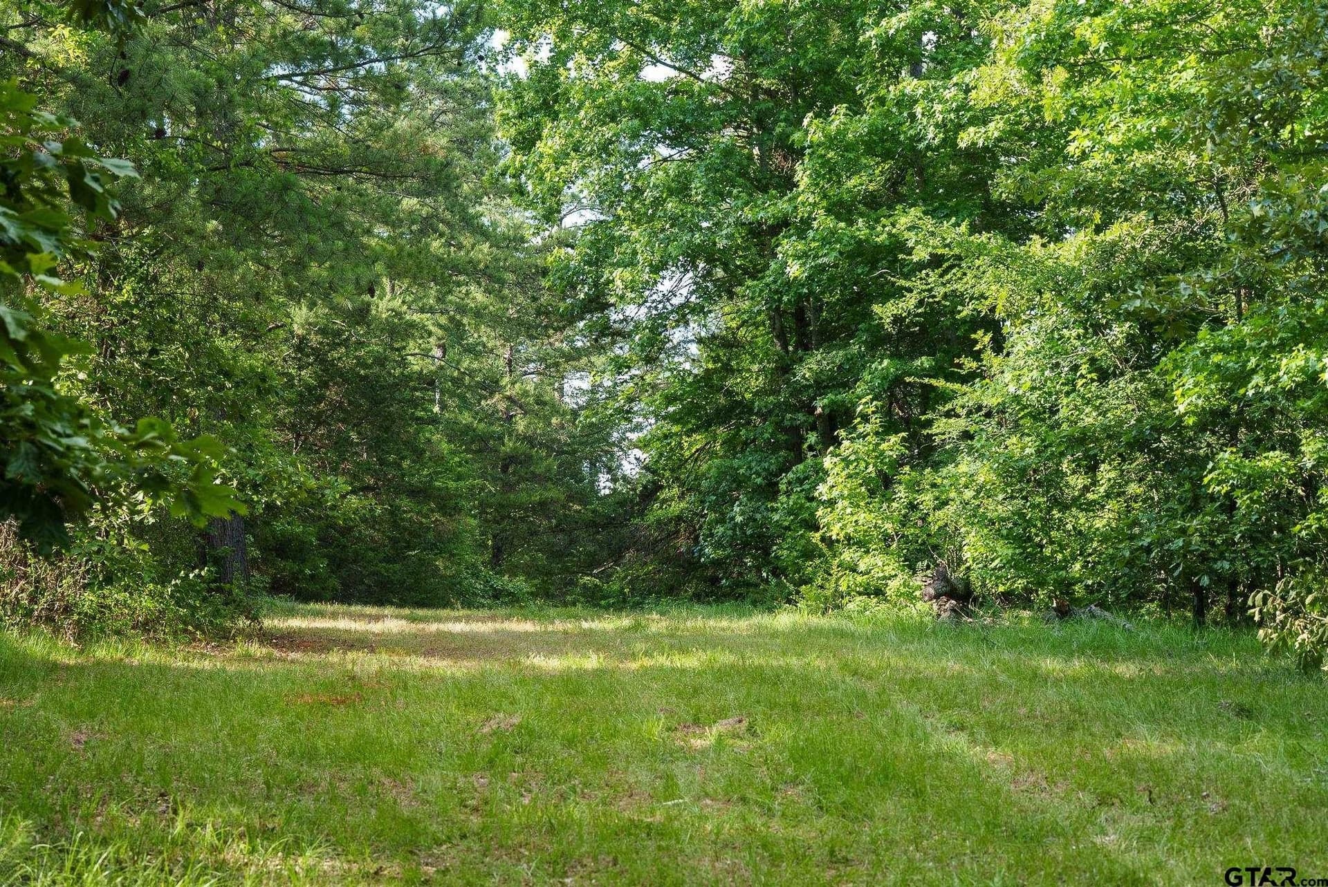27.56 acres in Smith County - photo 7
