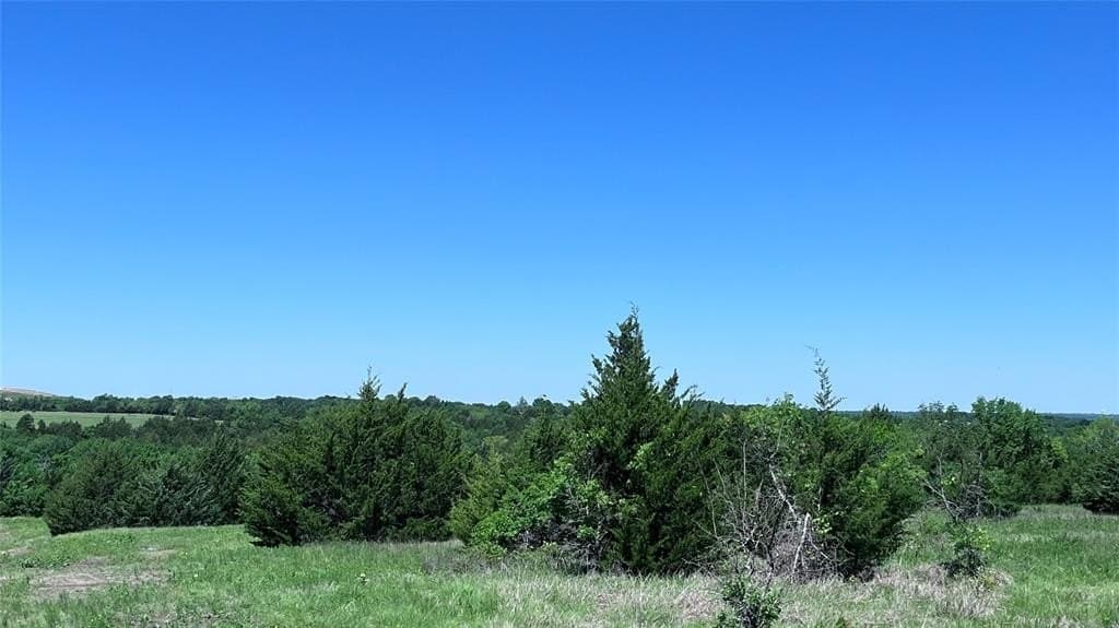 16.06 acres in Grayson County gallery image 2