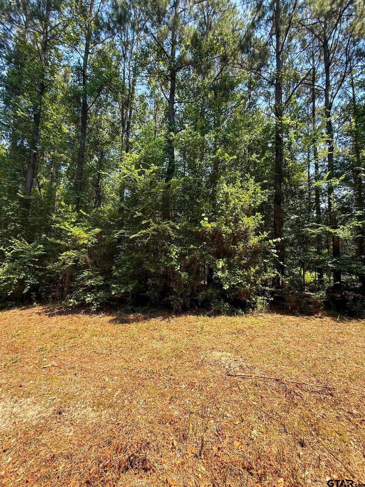 4 acres in Cherokee County - photo 10