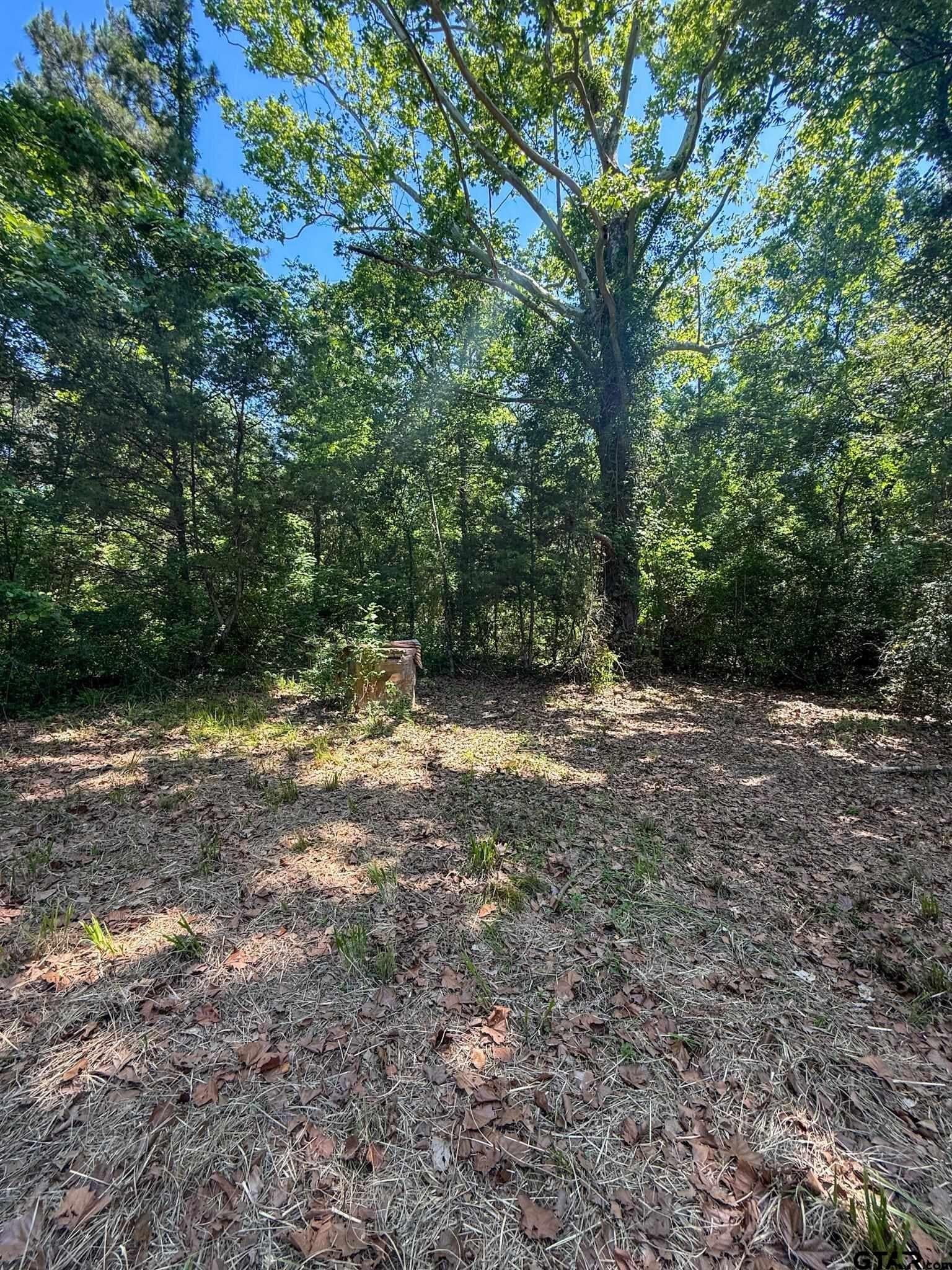 4 acres in Cherokee County - photo 3