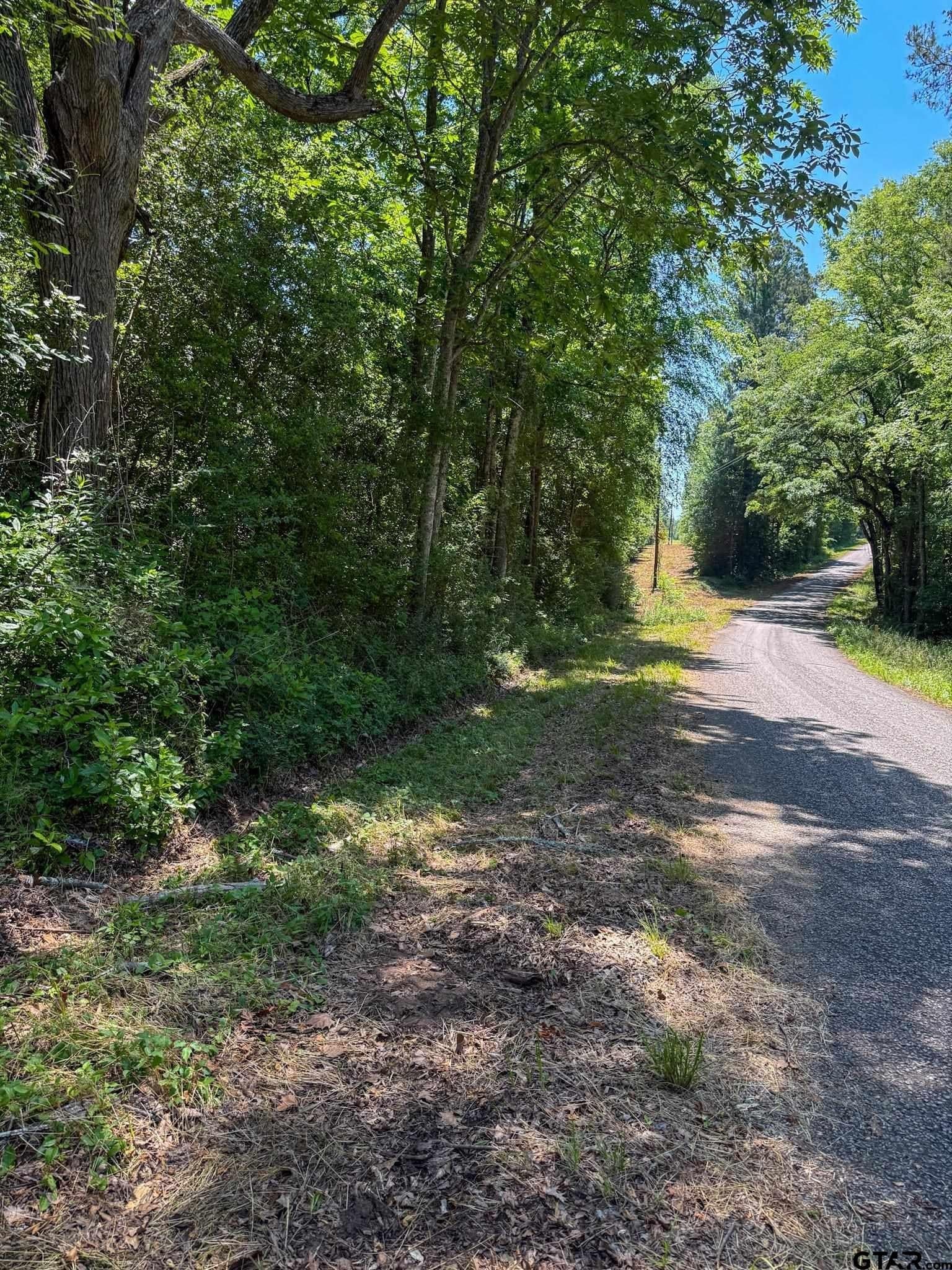 4 acres in Cherokee County - photo 6