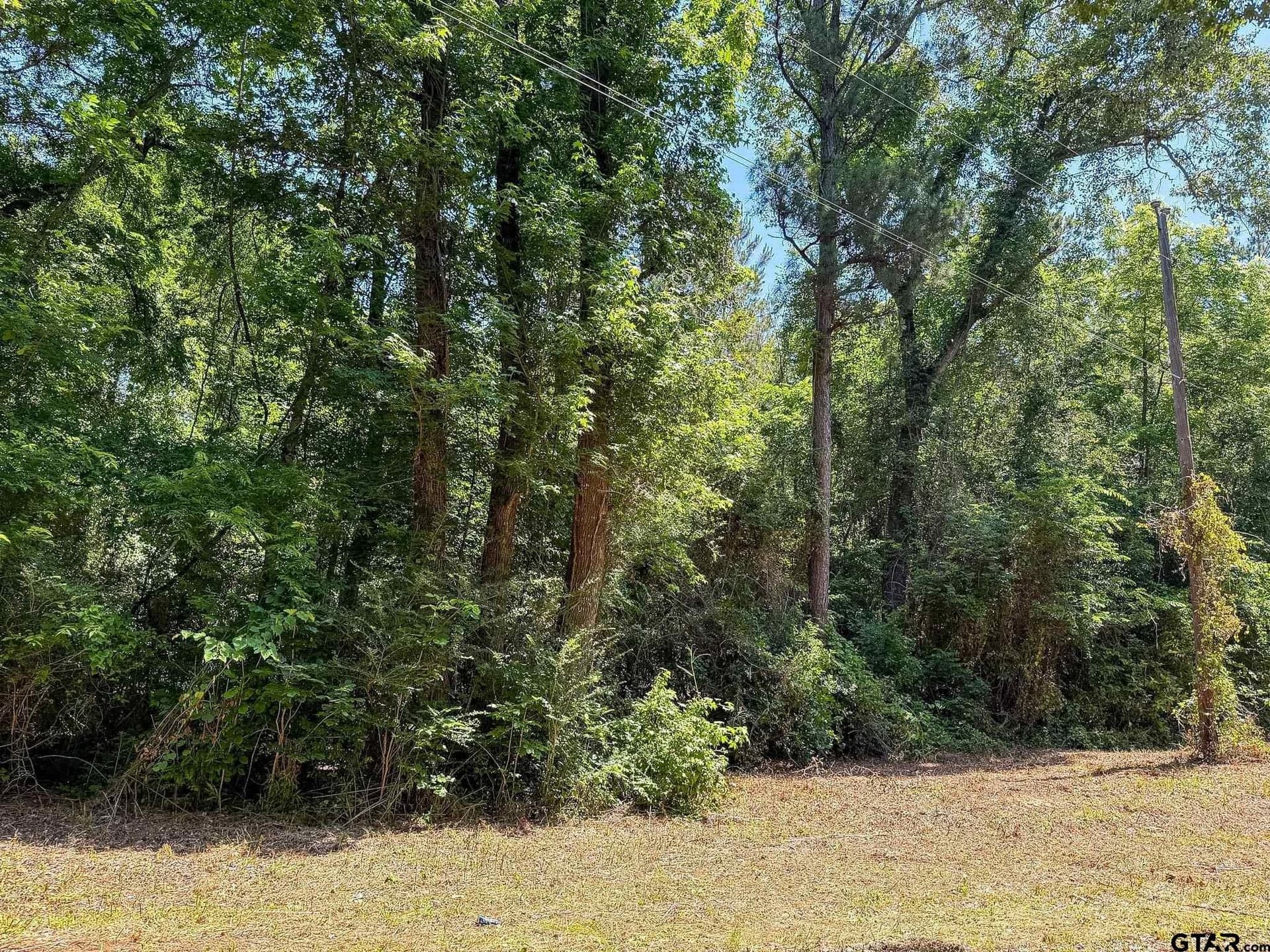 4 acres in Cherokee County - photo 8
