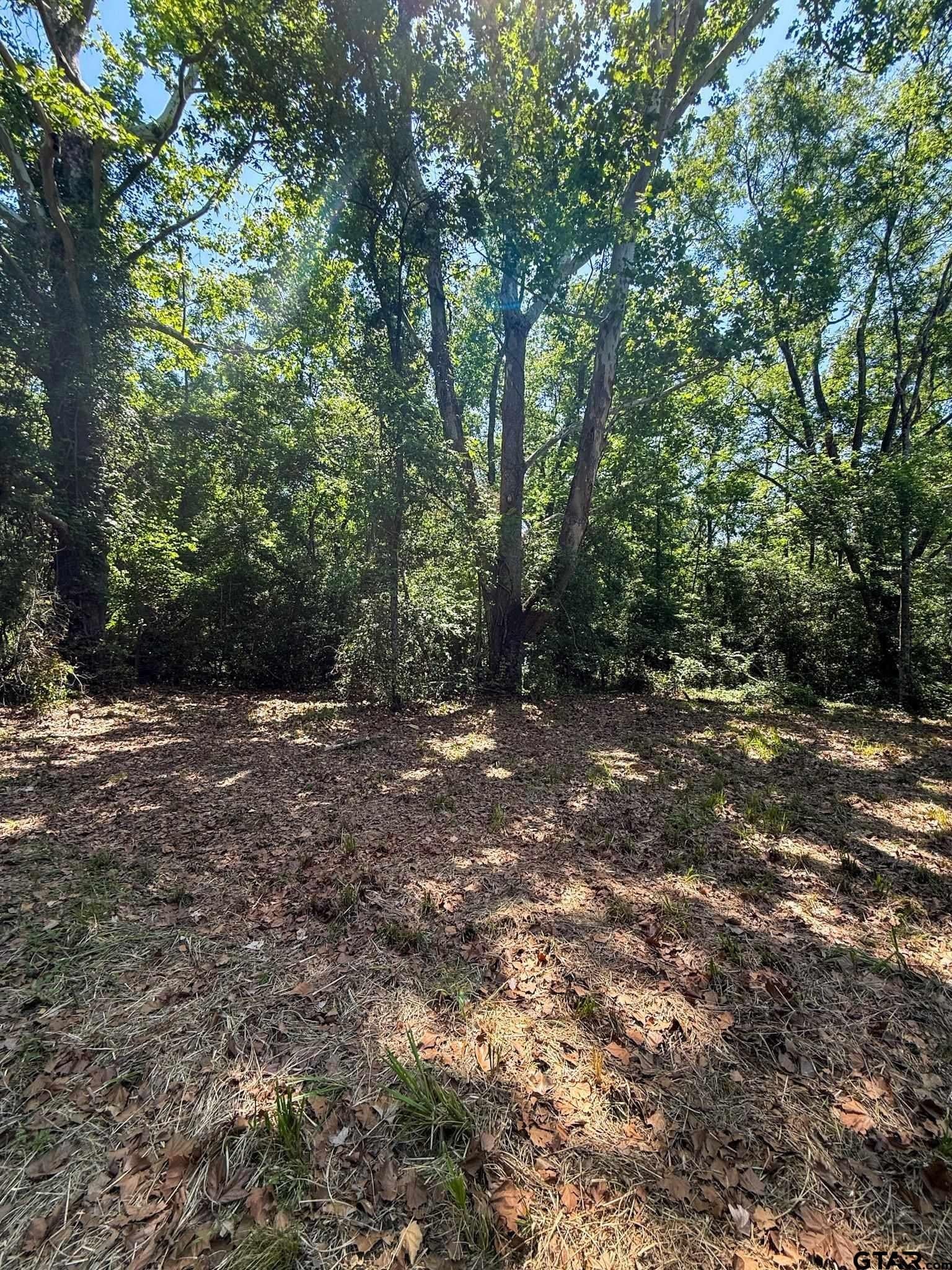 4 acres in Cherokee County - photo 4