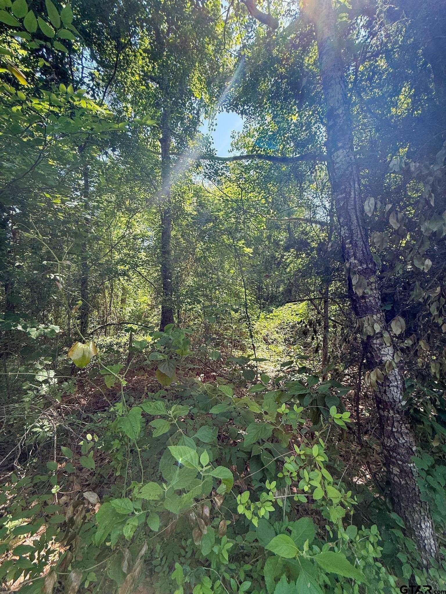 4 acres in Cherokee County - photo 5