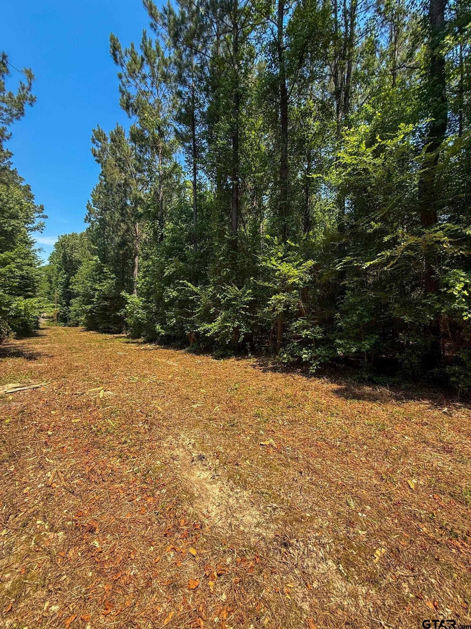 4 acres in Cherokee County - photo 11