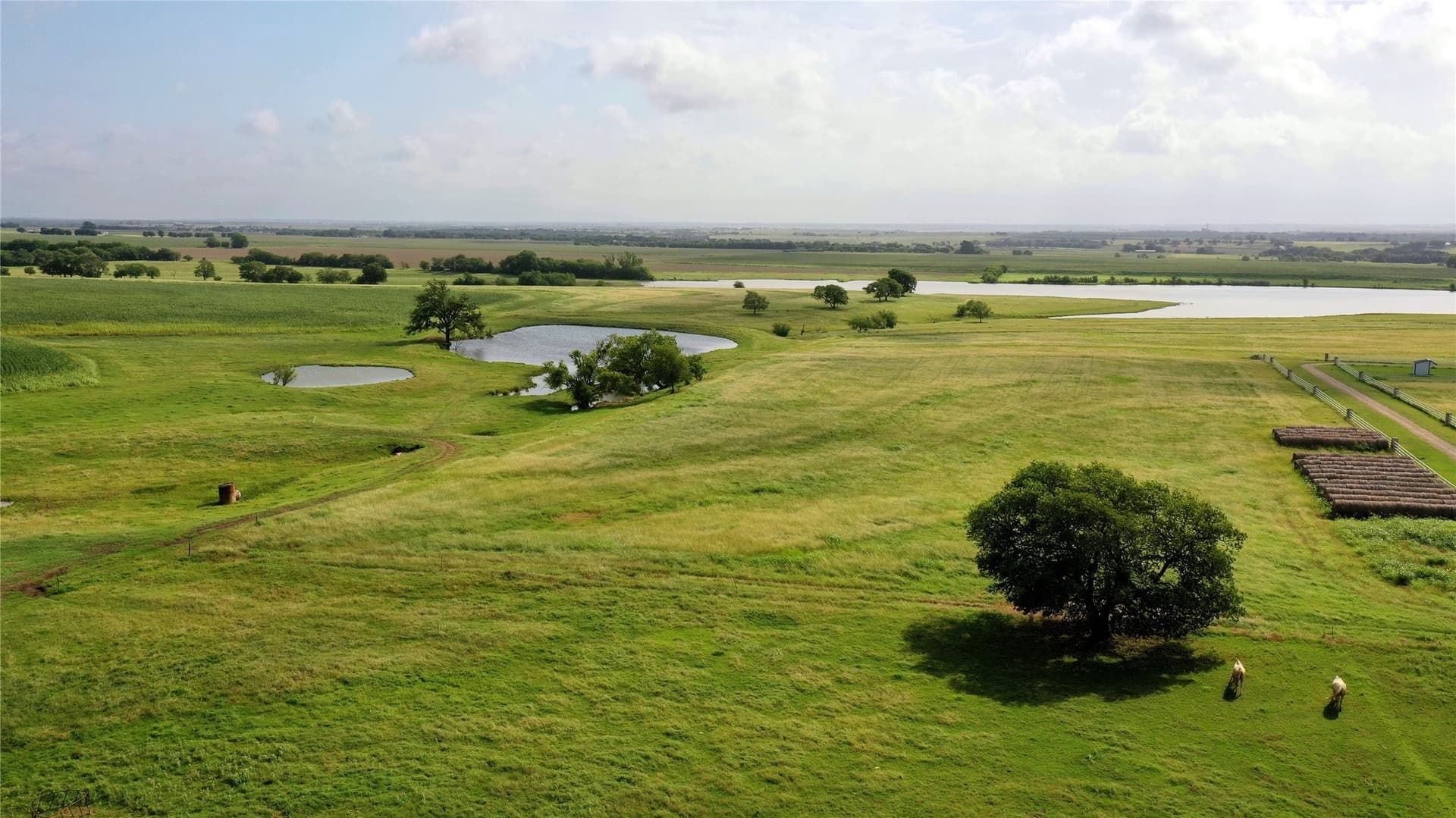 208.75 acres in Hill County - photo 10