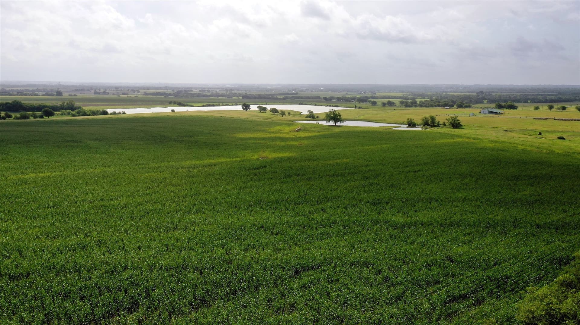 208.75 acres in Hill County - photo 17