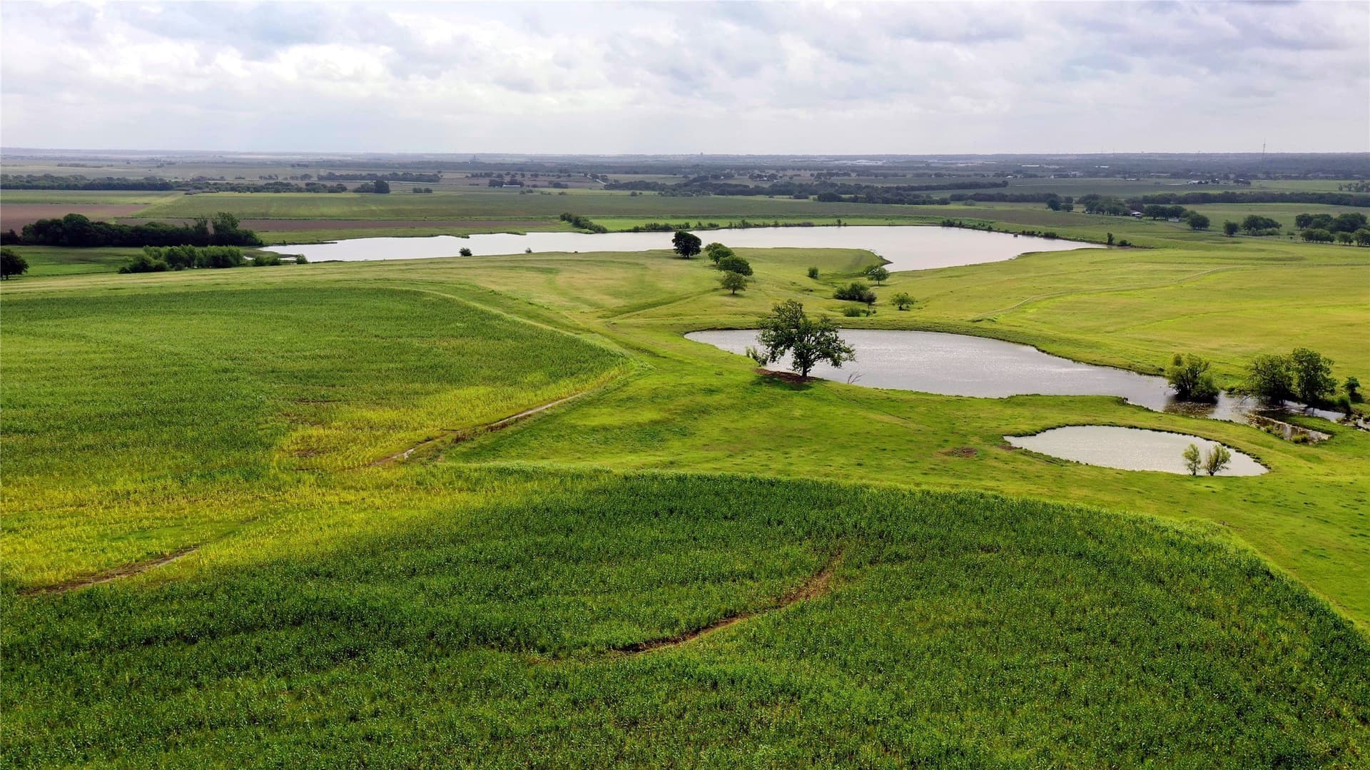 208.75 acres in Hill County - photo 4