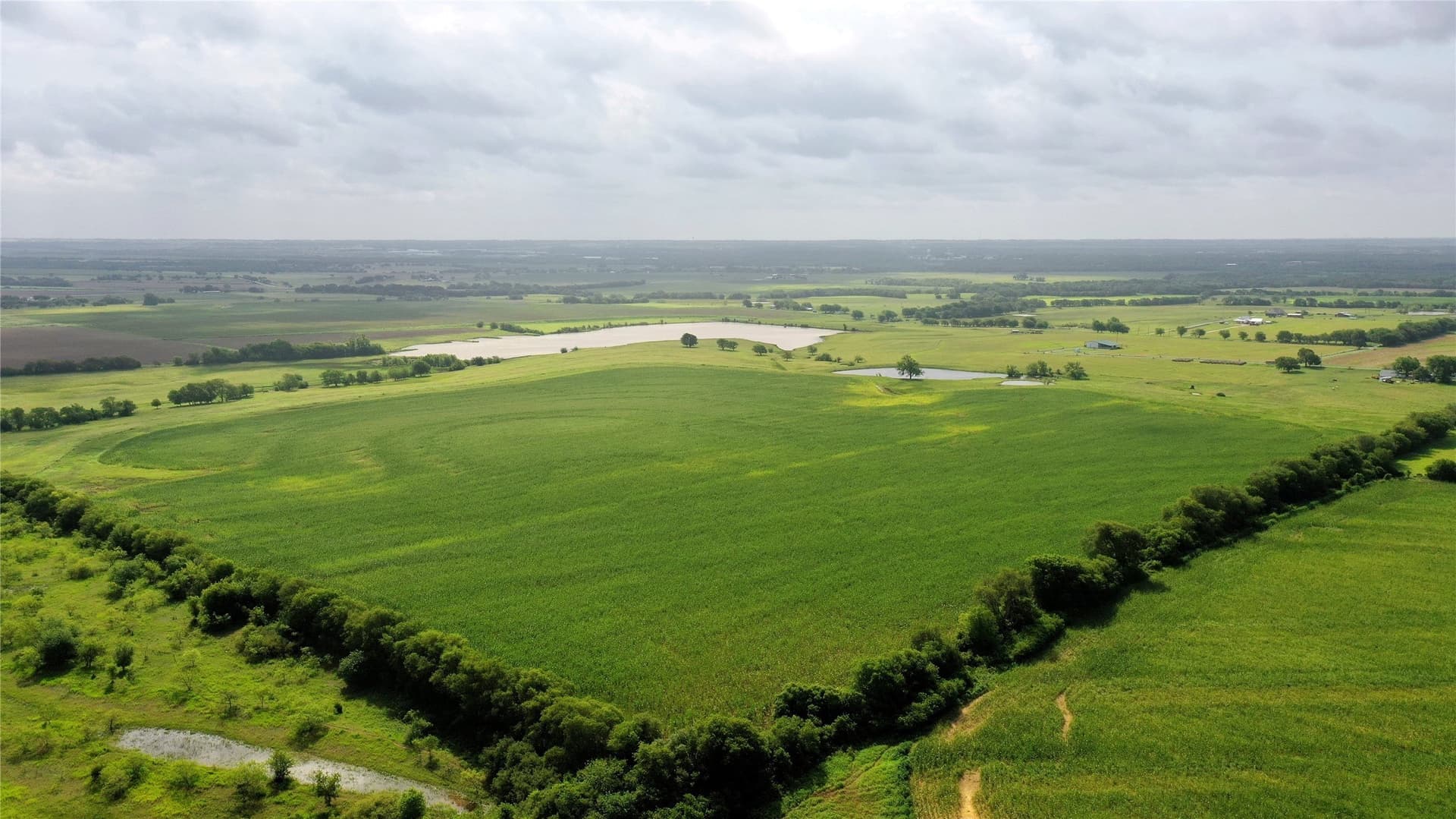 208.75 acres in Hill County - photo 5