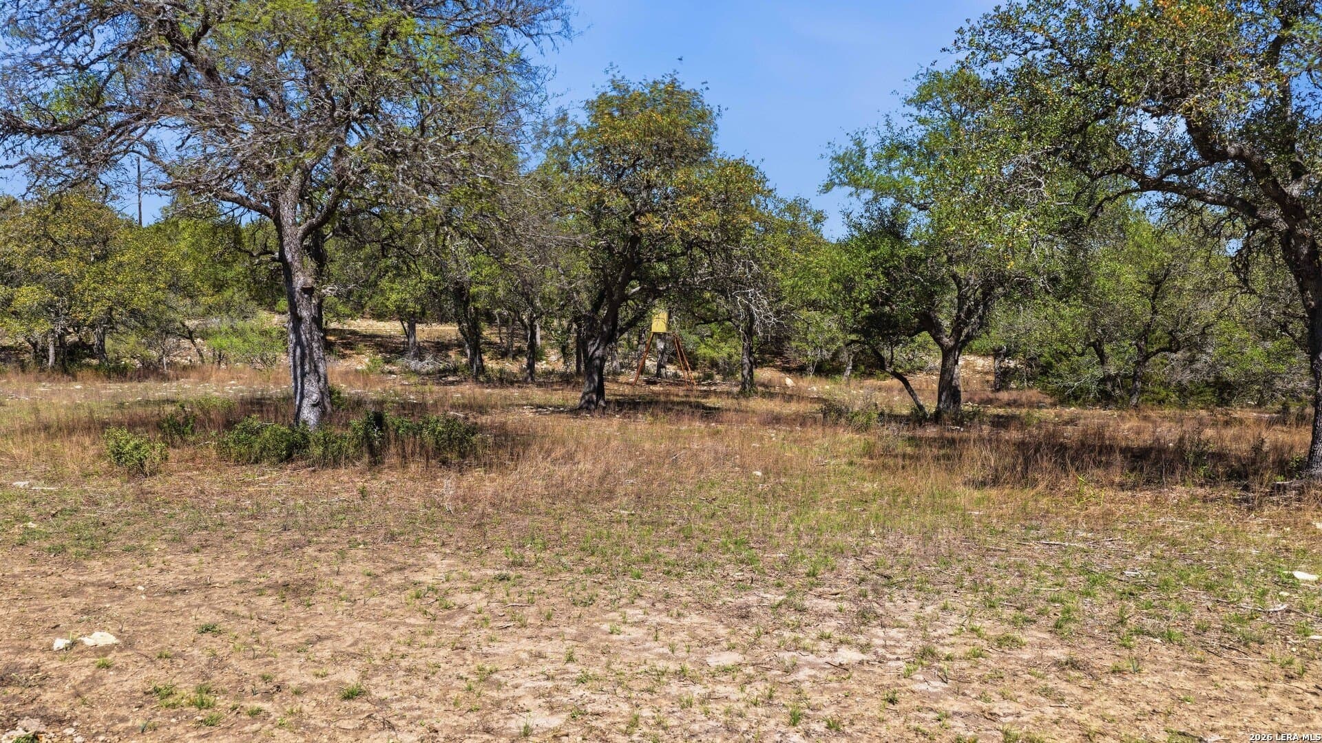 10.02 acres in Comal County - photo 21