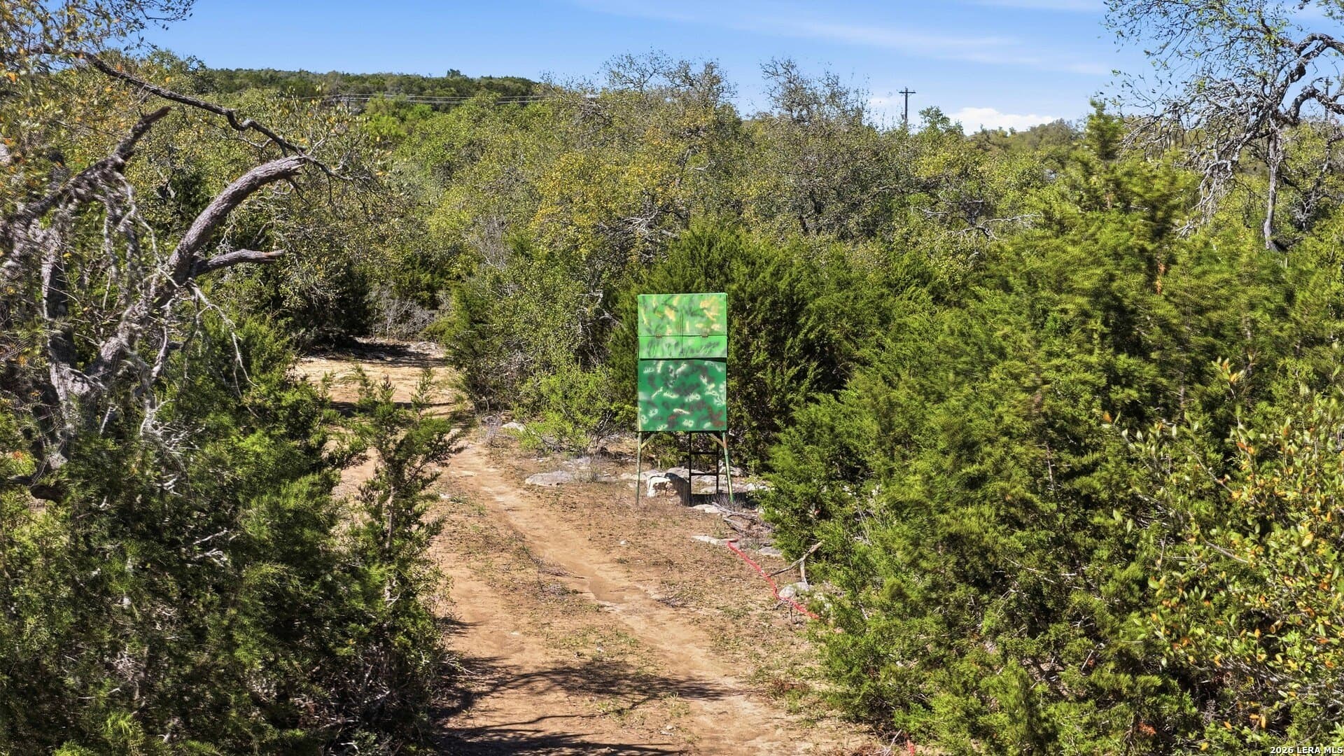 10.02 acres in Comal County - photo 13
