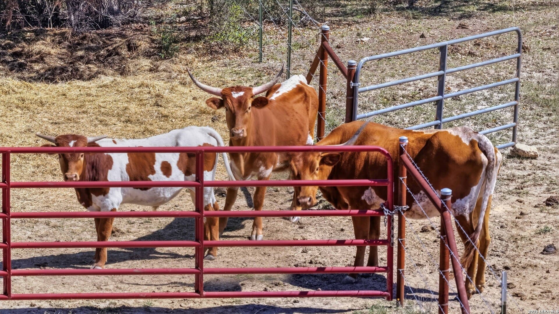 10.02 acres in Comal County