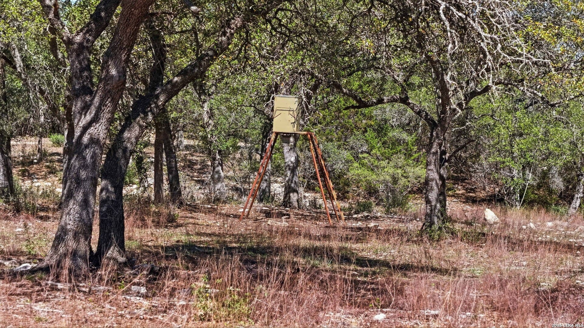 10.02 acres in Comal County - photo 20