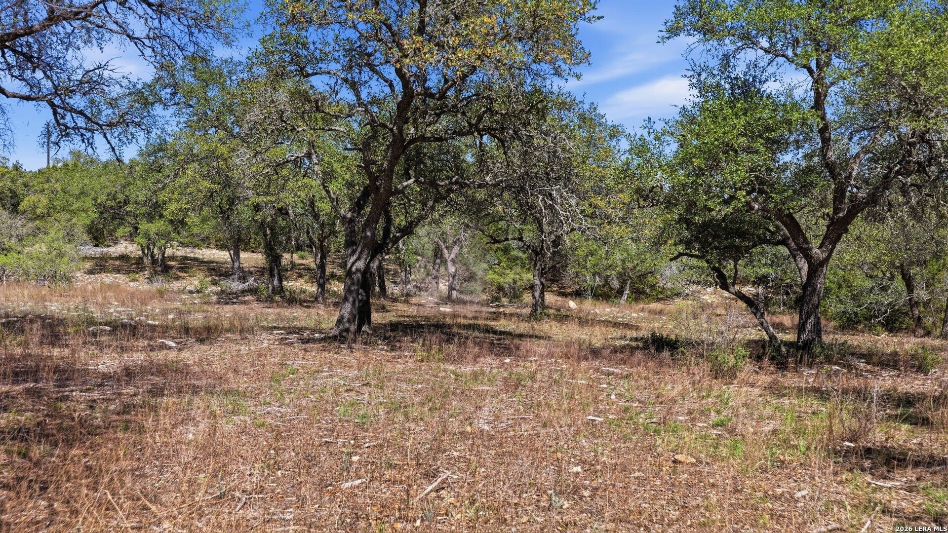 10.02 acres in Comal County - photo 19