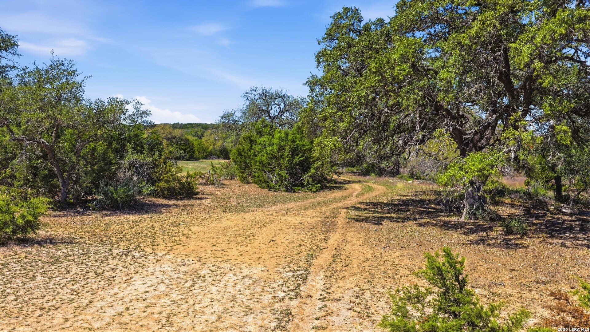 10.02 acres in Comal County - photo 7