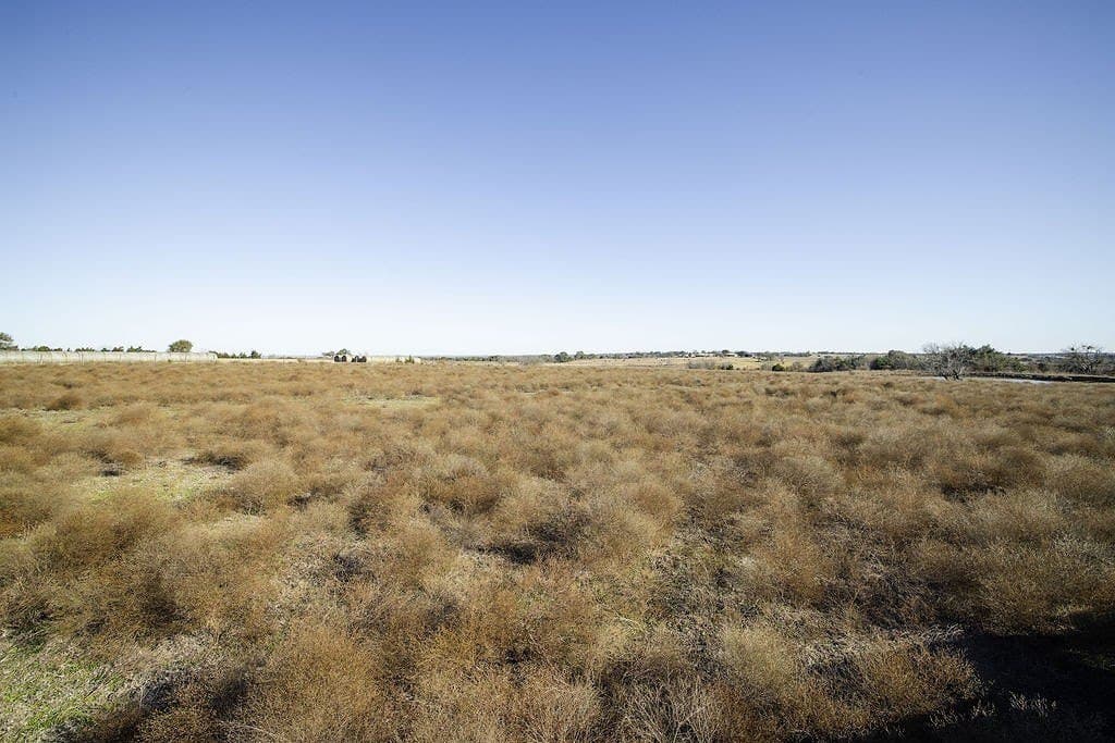 24 acres in Washington County - photo 8