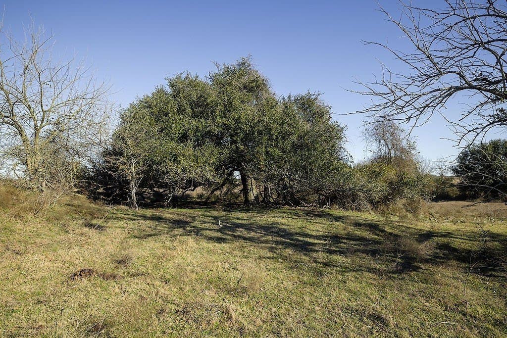 24 acres in Washington County - photo 4