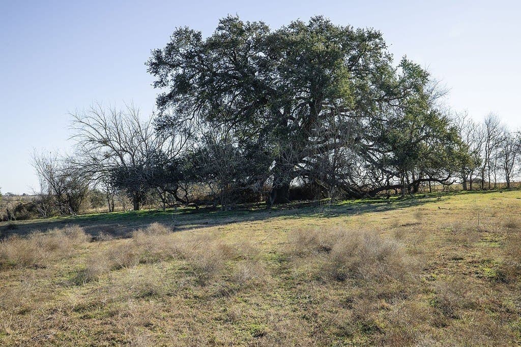 24 acres in Washington County - photo 5