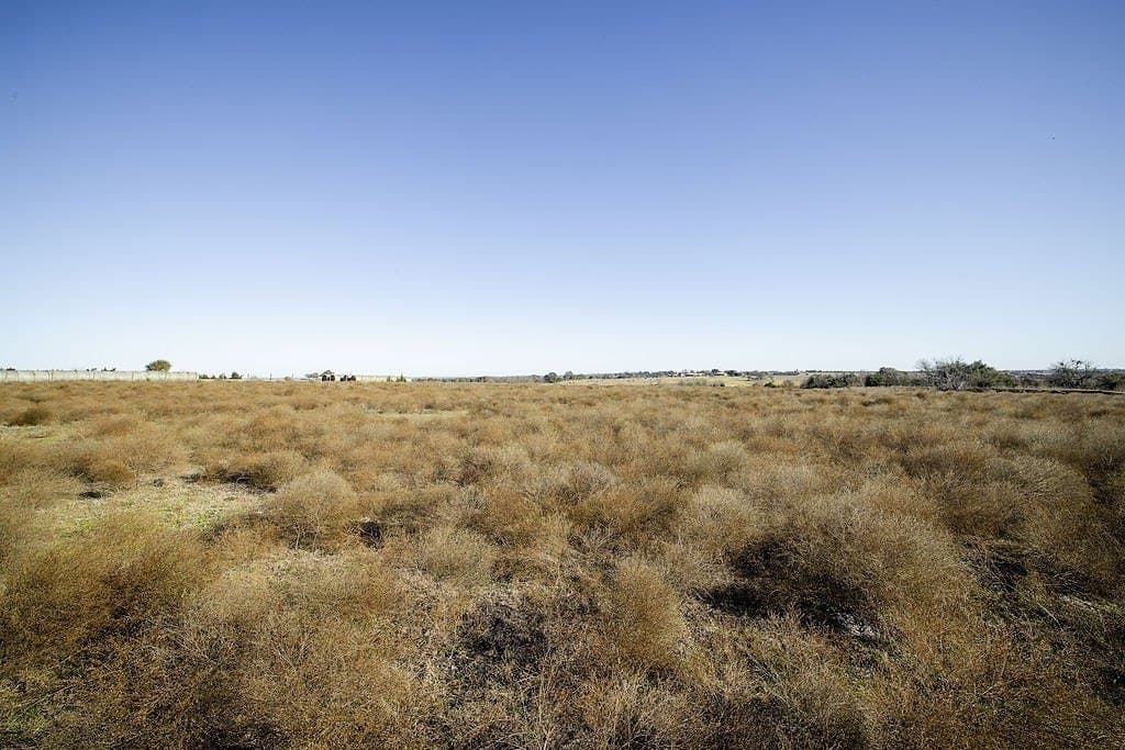 24 acres in Washington County - photo 9