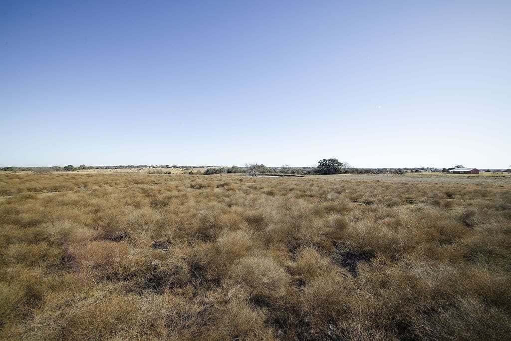 24 acres in Washington County - photo 7