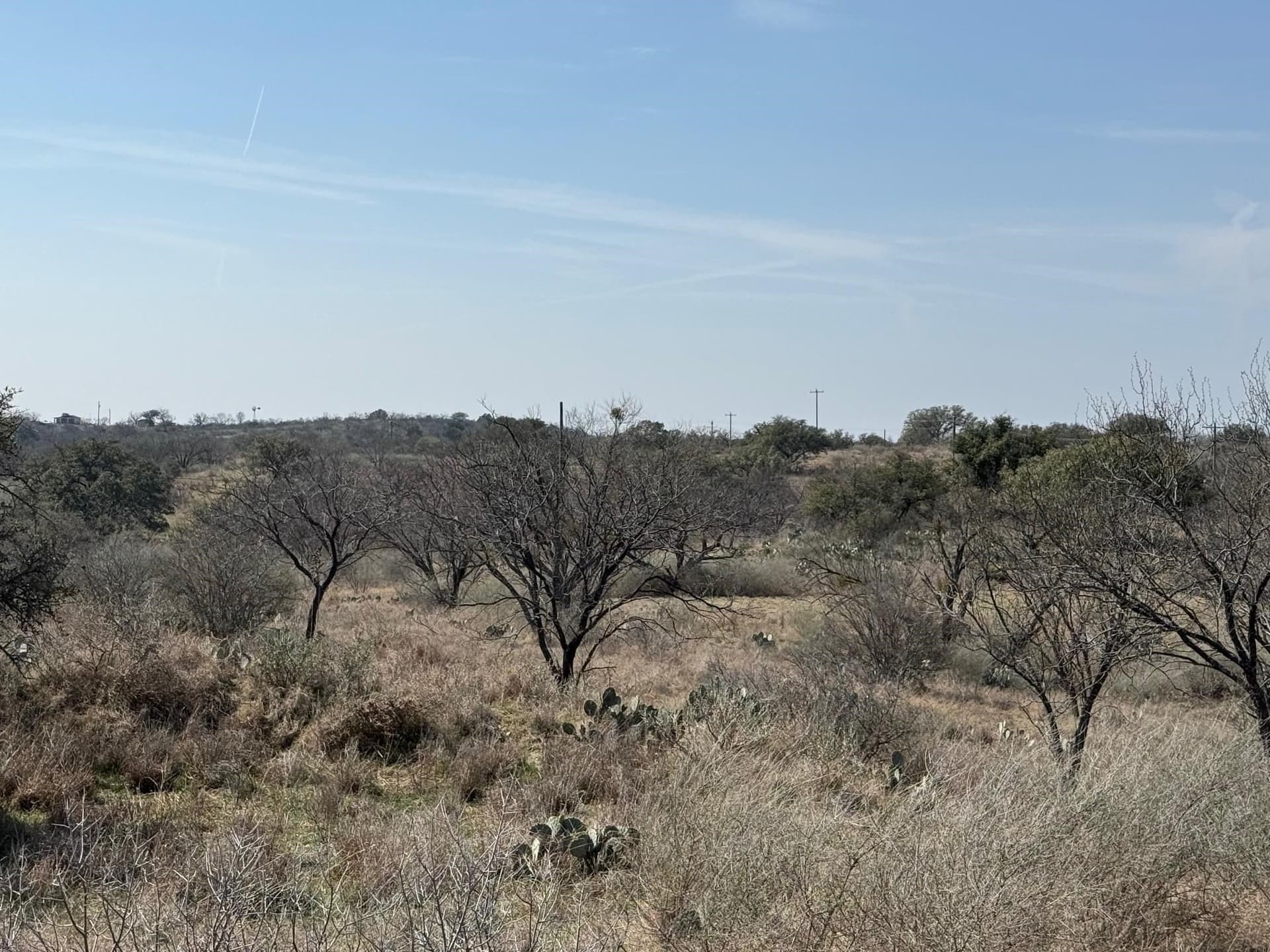 14.67 acres in Llano County gallery image 4