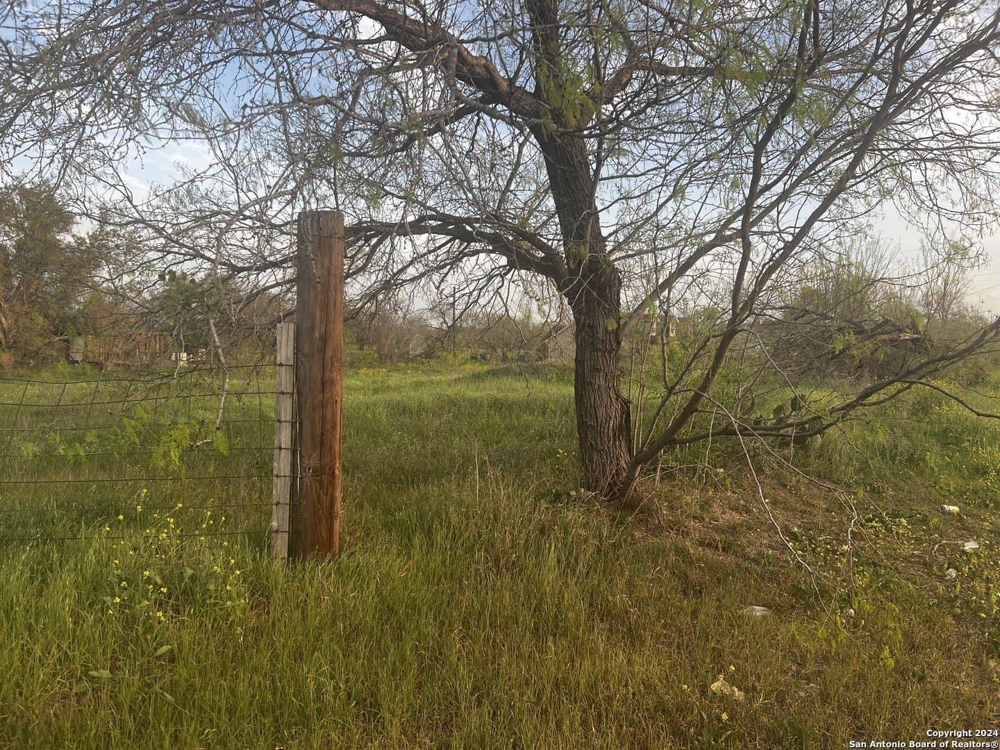 10.93 acres in Bexar County - photo 10
