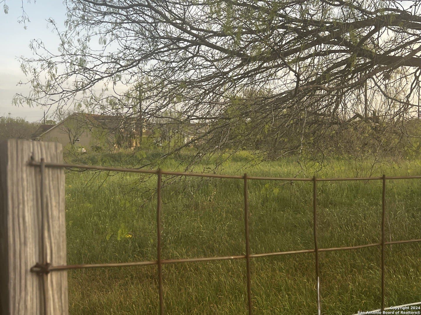 10.93 acres in Bexar County gallery image 3