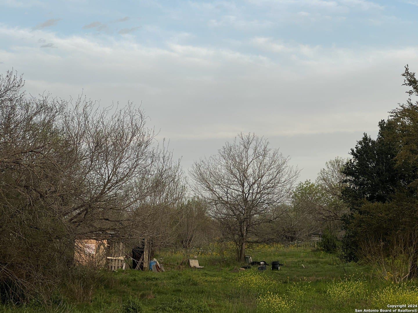 10.93 acres in Bexar County - photo 8