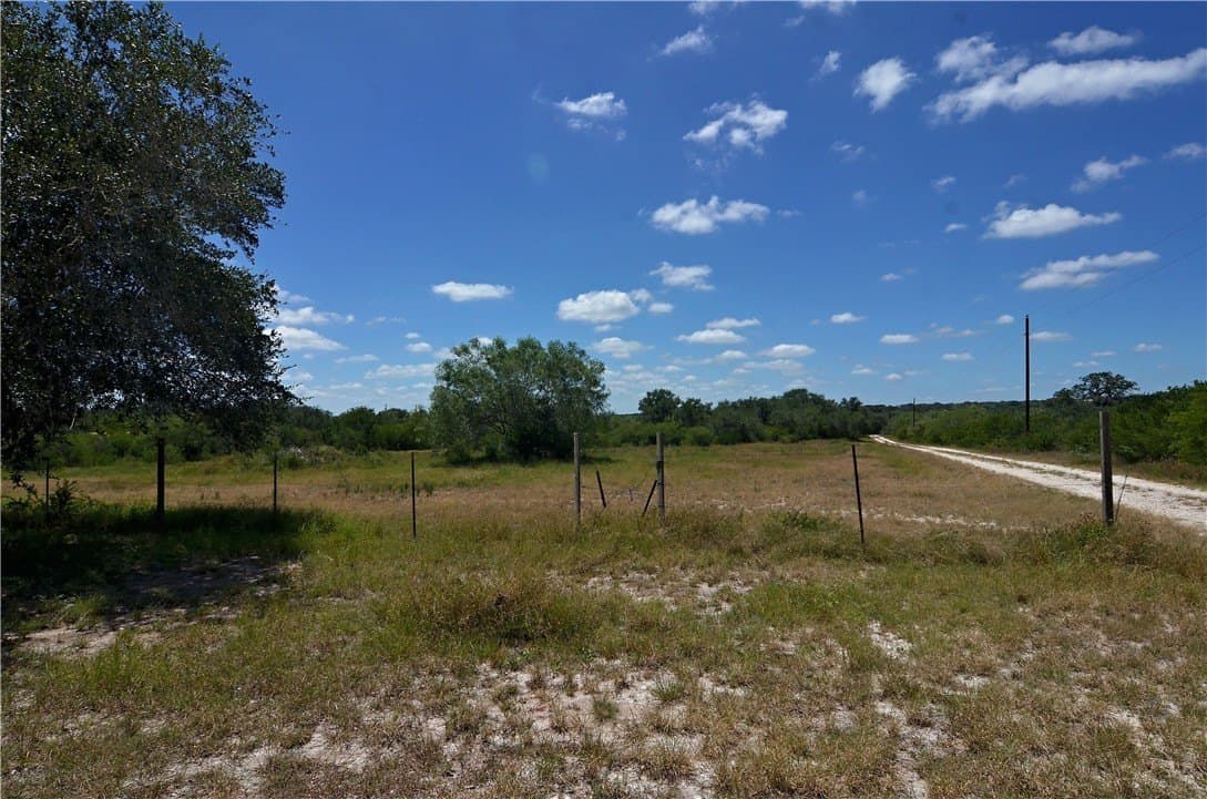 19.81 acres in Bee County - photo 9