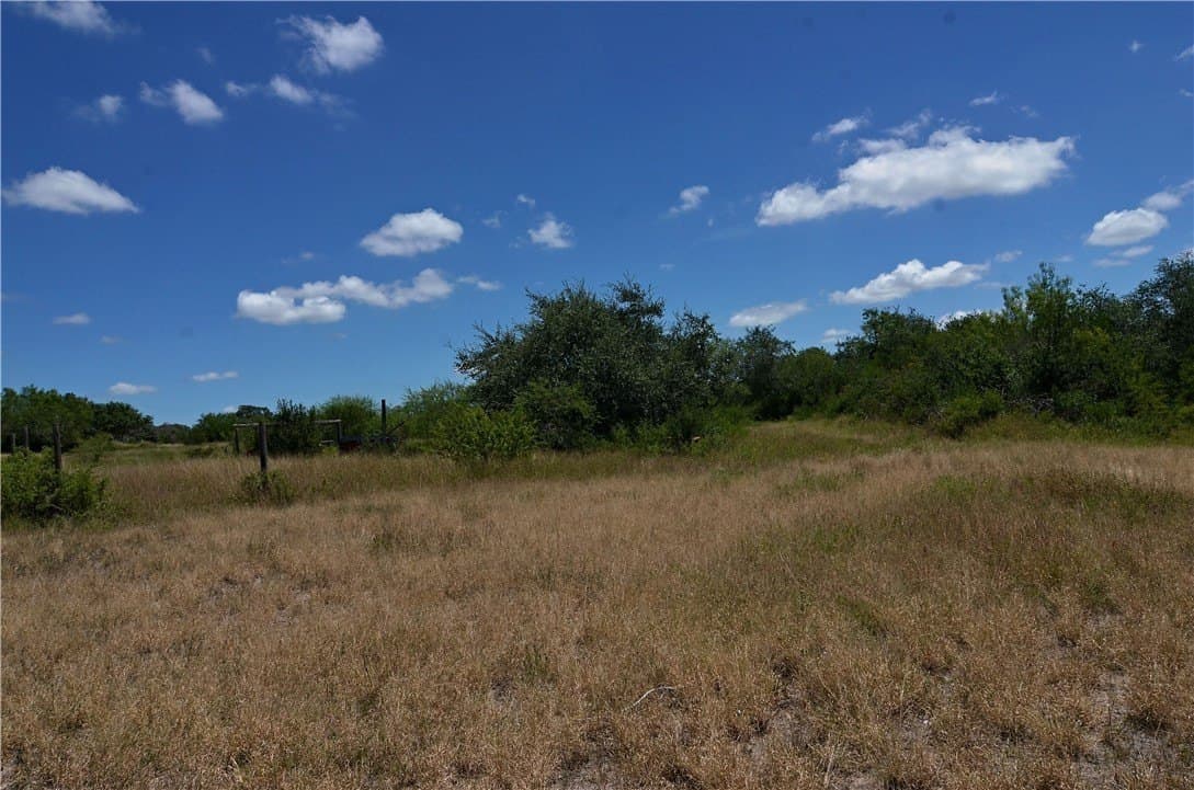 19.81 acres in Bee County - photo 22