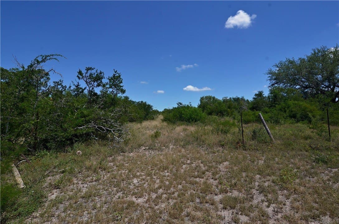 19.81 acres in Bee County - photo 10