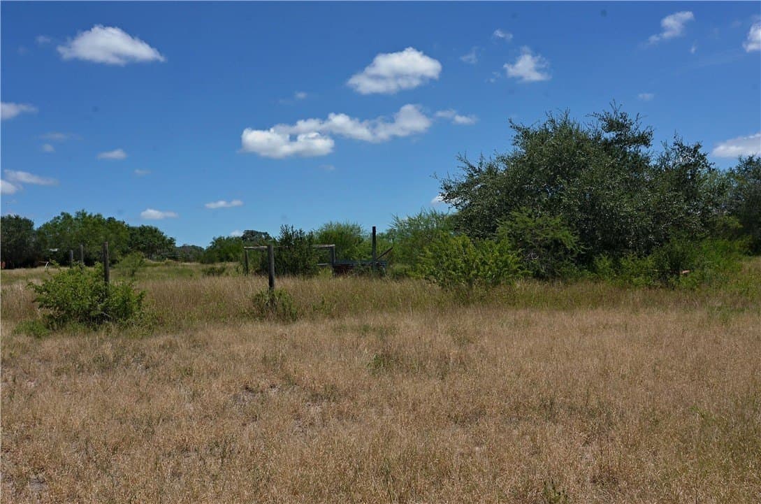 19.81 acres in Bee County - photo 23