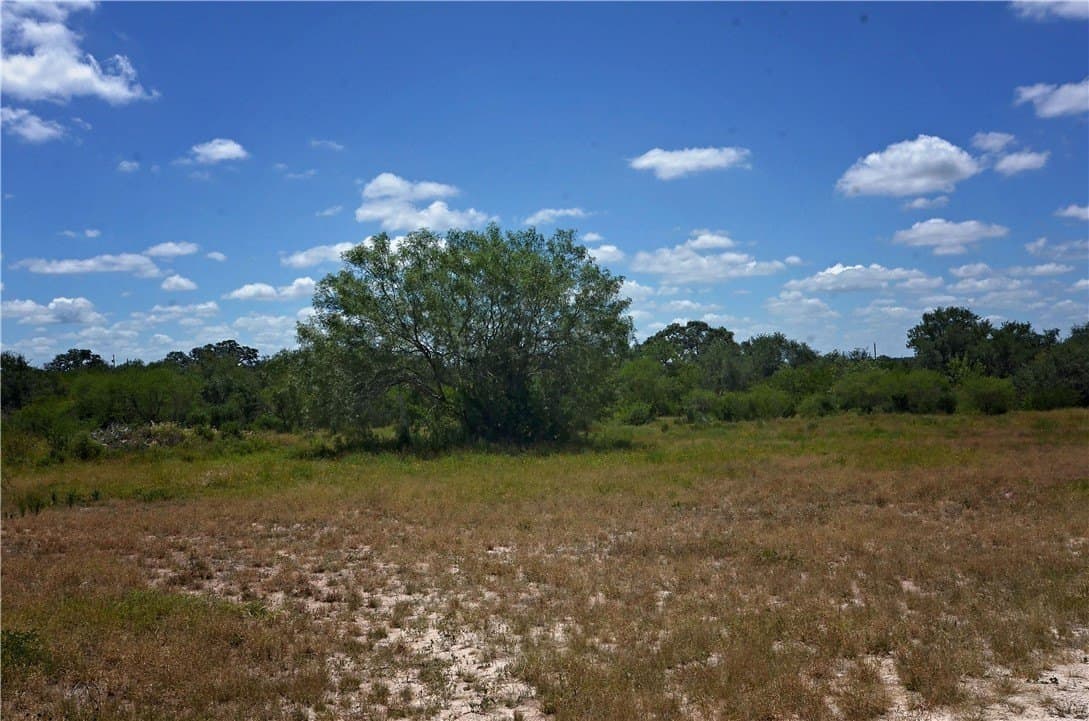 19.81 acres in Bee County gallery image 4