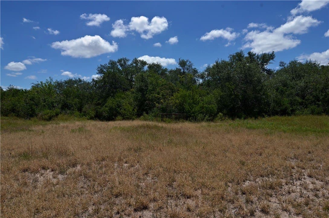 19.81 acres in Bee County - photo 19