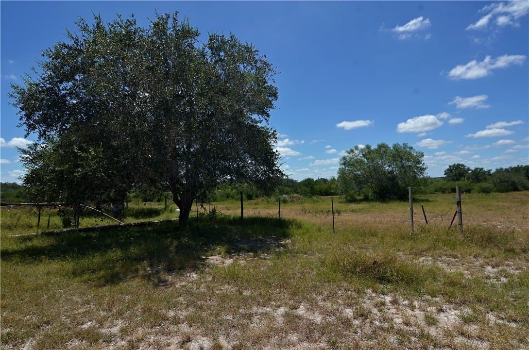 19.81 acres in Bee County - photo 8