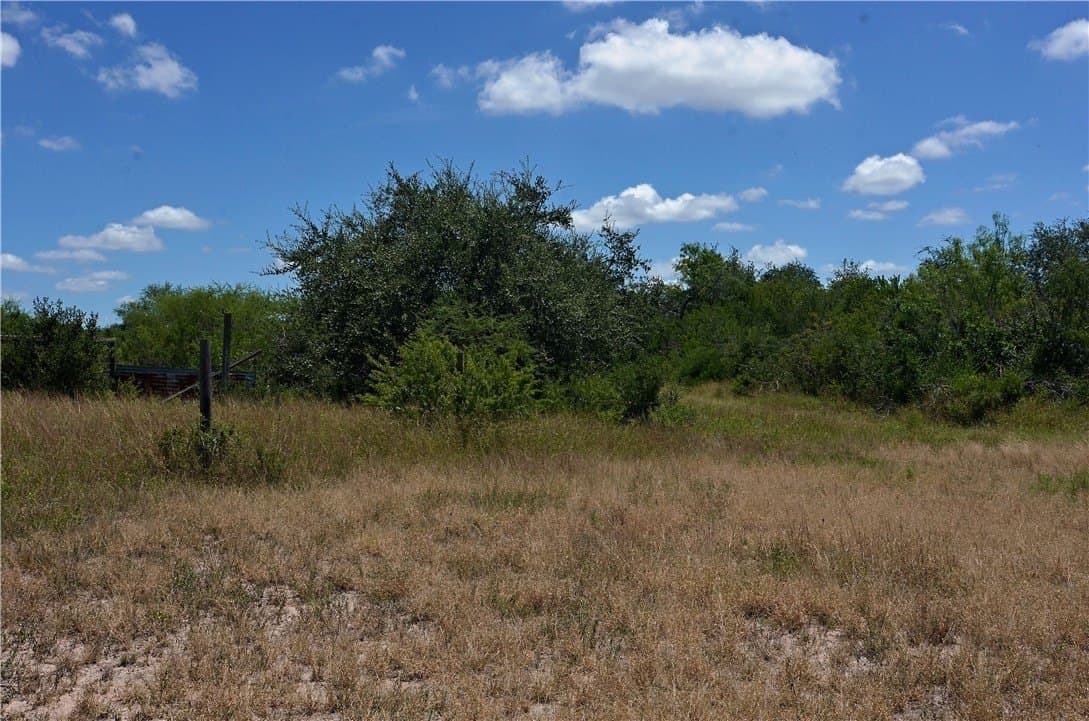 19.81 acres in Bee County - photo 18