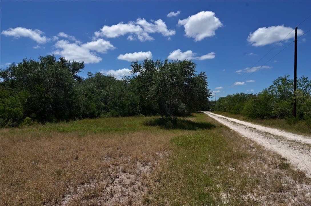 19.81 acres in Bee County - photo 20