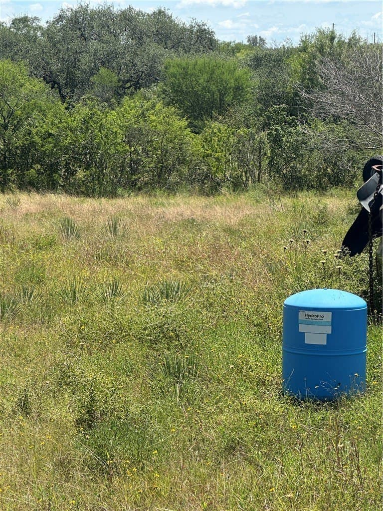 19.81 acres in Bee County - photo 26