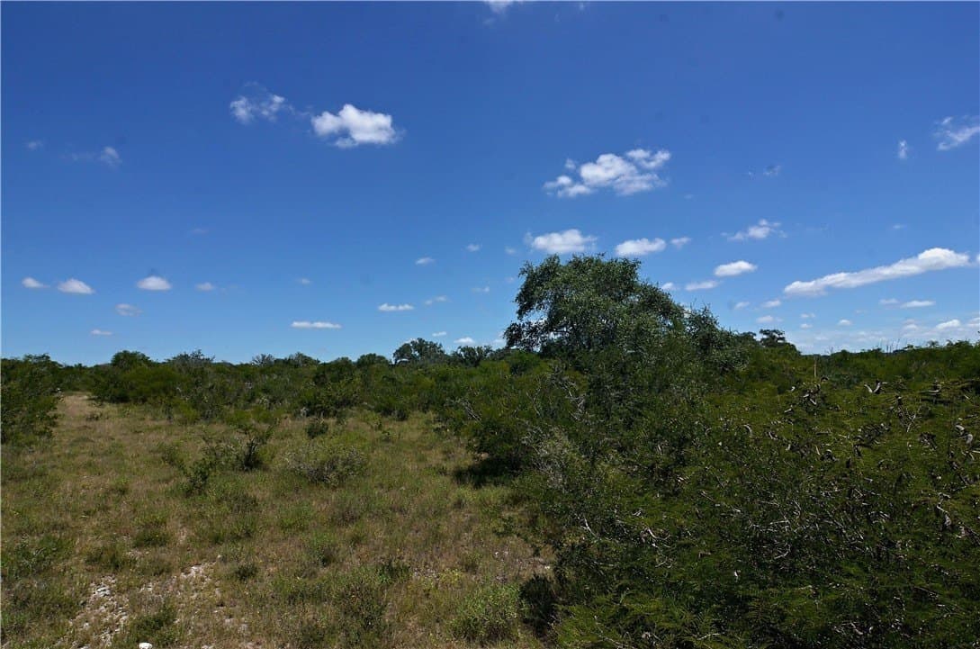 19.81 acres in Bee County - photo 14