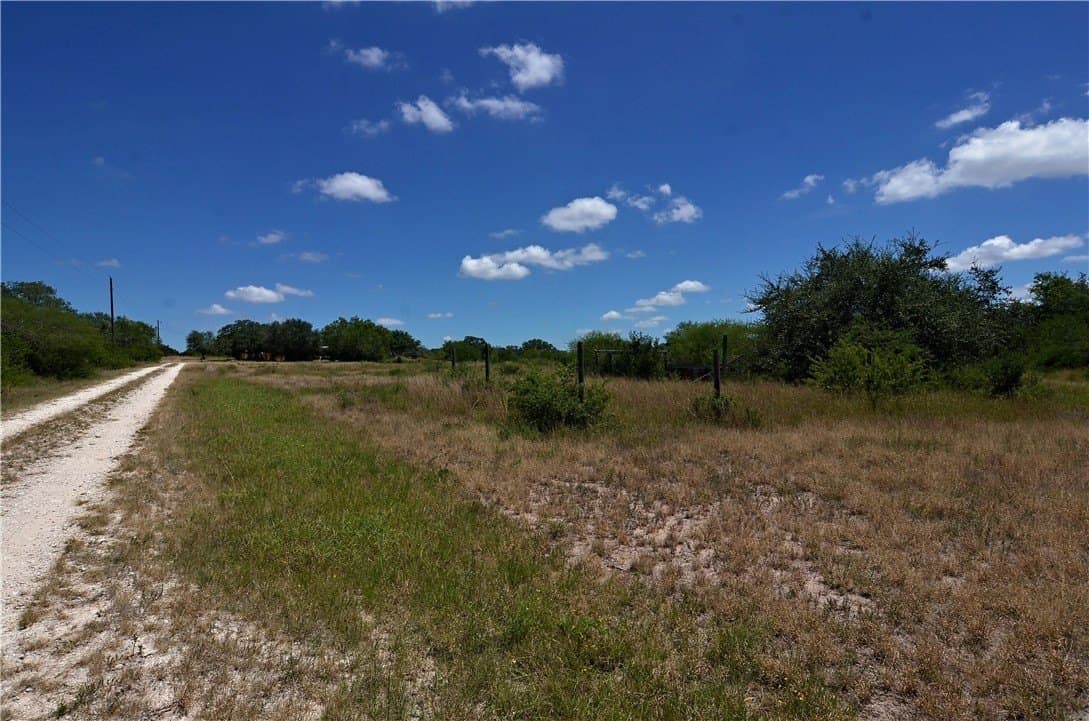 19.81 acres in Bee County - photo 16