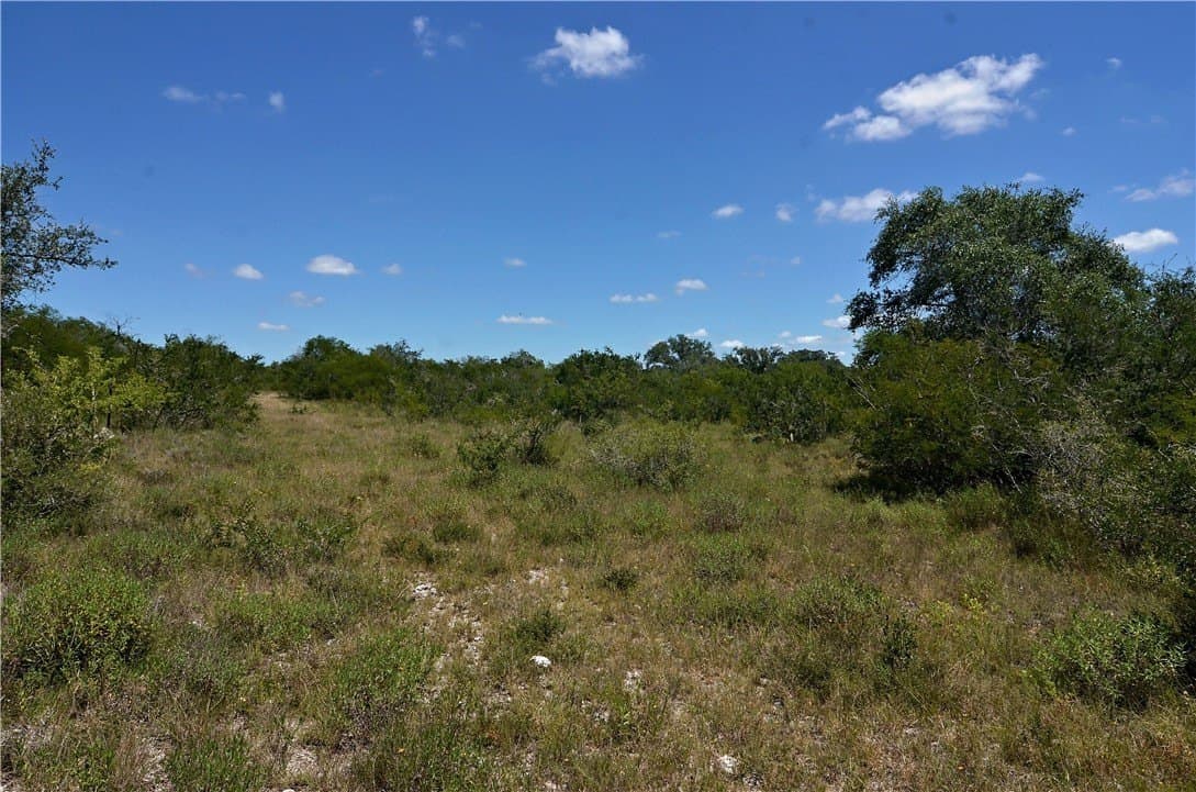 19.81 acres in Bee County - photo 15