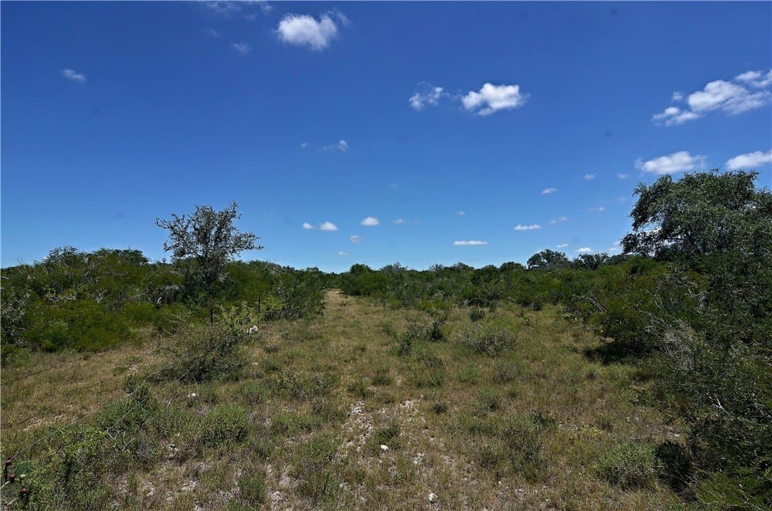 19.81 acres in Bee County - photo 13