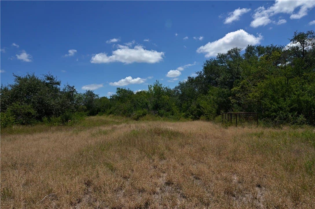 19.81 acres in Bee County - photo 21