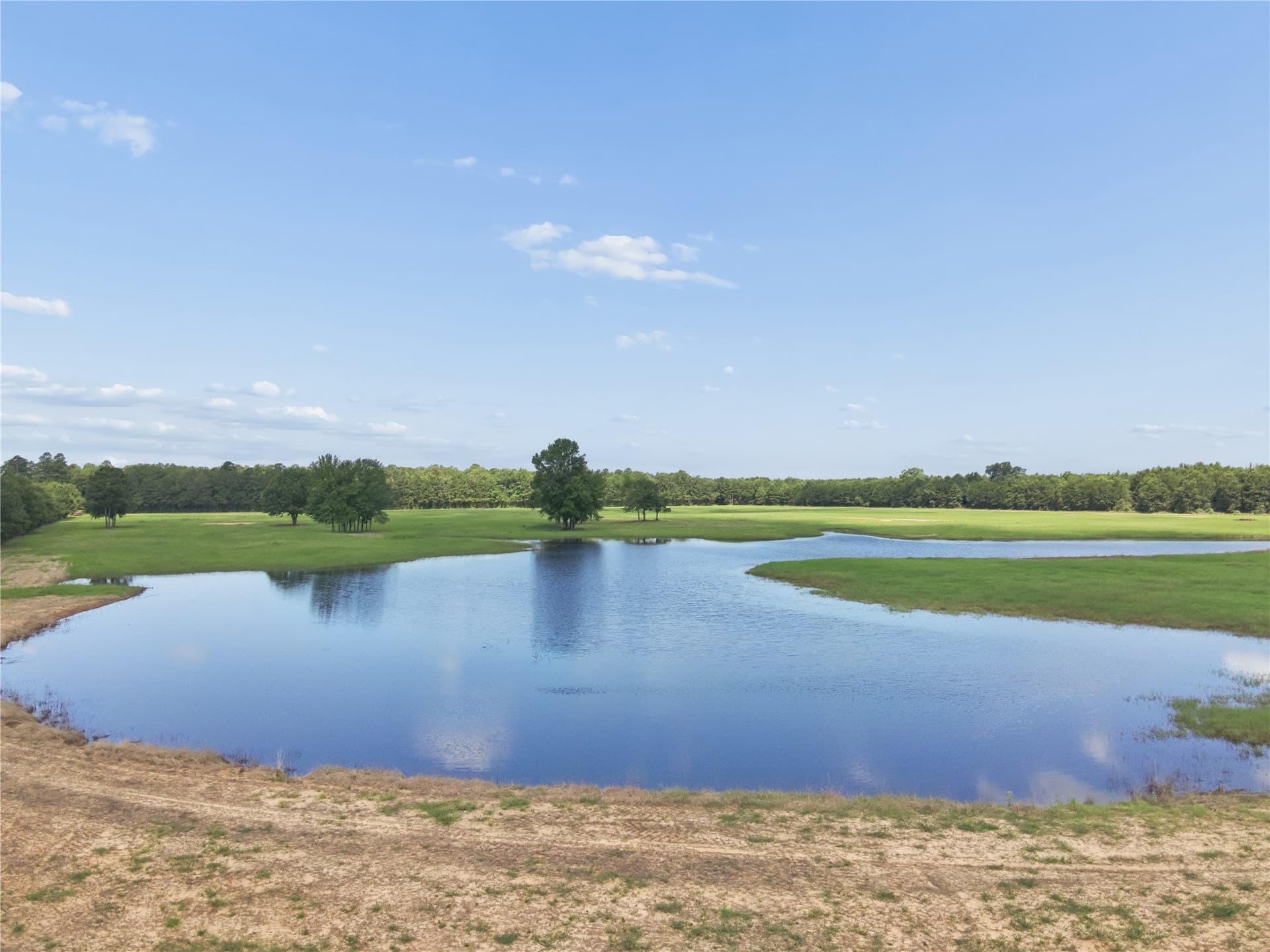 81.77 acres in Bowie County - photo 7