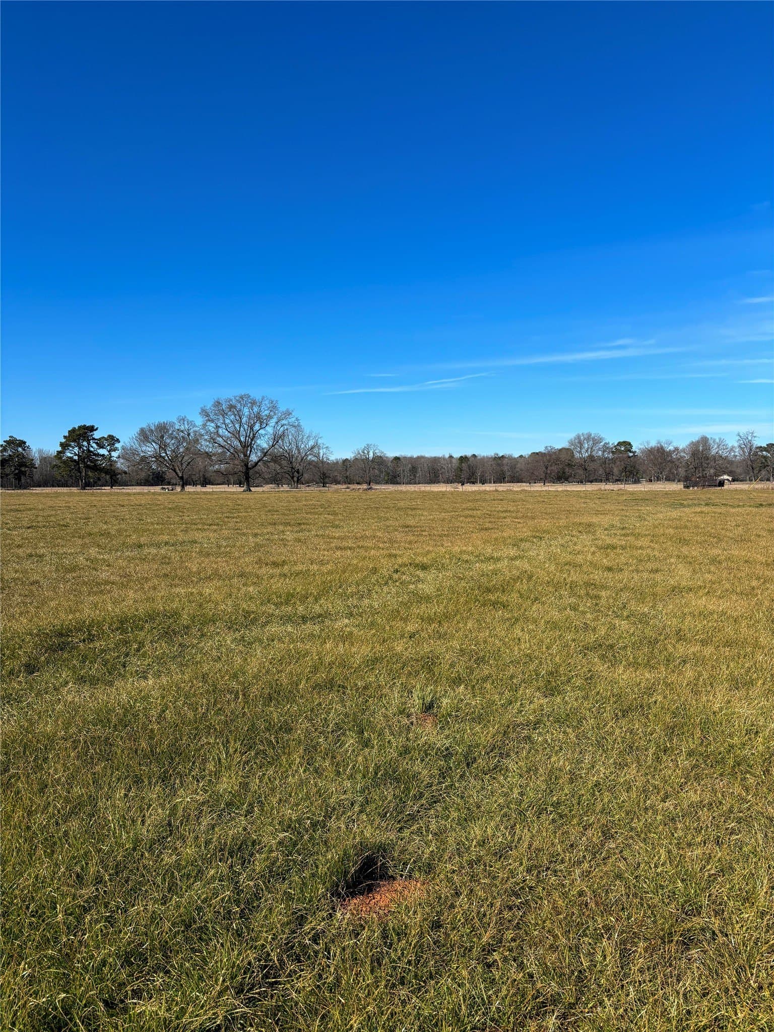 81.77 acres in Bowie County